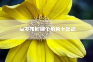 dnf发布网哪个角色上限高