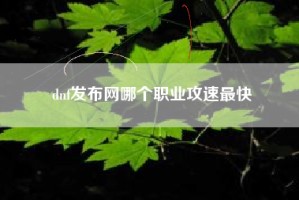 dnf发布网哪个职业攻速最快