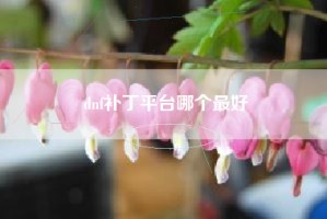 dnf补丁平台哪个最好