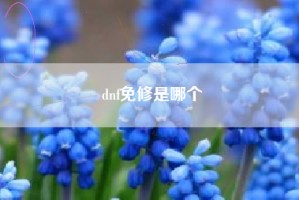 dnf免修是哪个