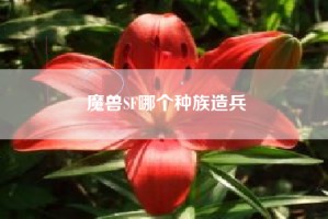 魔兽SF哪个种族造兵