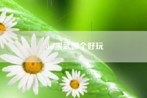 dnf黑武哪个好玩