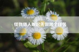 怪物猎人崛起先做哪个任务