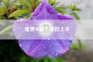 魔兽SF哪个族好上手