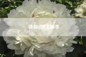 诛仙sf哪个版本