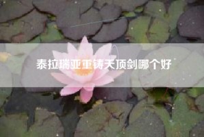 泰拉瑞亚重铸天顶剑哪个好