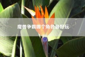 魔兽争霸哪个角色最好玩