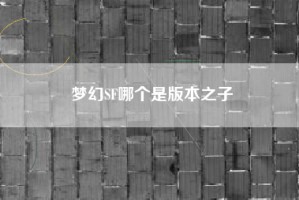 梦幻SF哪个是版本之子