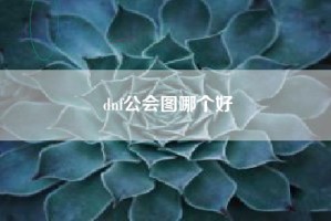 dnf公会图哪个好