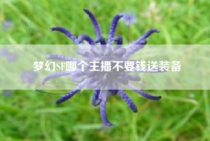 梦幻SF哪个主播不要钱送装备