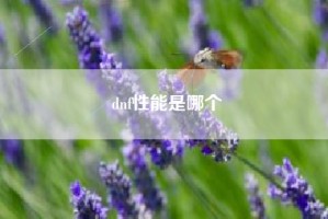 dnf性能是哪个