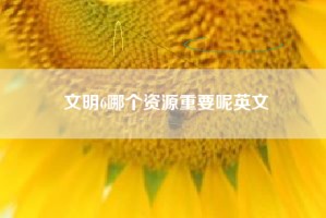 文明6哪个资源重要呢英文