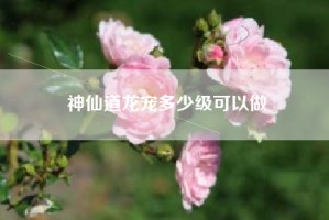 神仙道龙宠多少级可以做