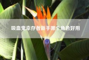 吸血鬼幸存者新手哪个角色好用