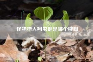 怪物猎人翔虫键是哪个键啊