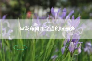 dnf发布网哪个省的区最多