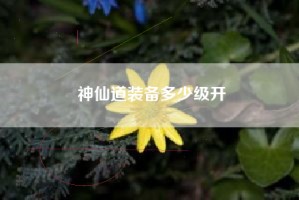 神仙道装备多少级开