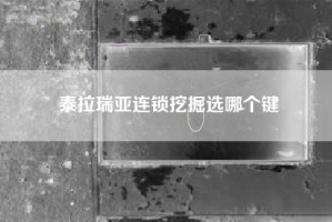 泰拉瑞亚连锁挖掘选哪个键