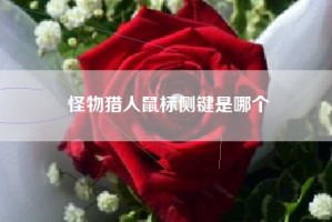 怪物猎人鼠标侧键是哪个