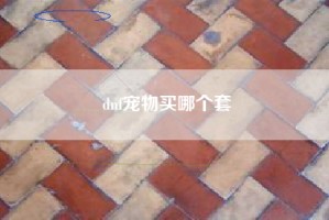 dnf宠物买哪个套