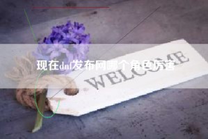 现在dnf发布网哪个角色厉害