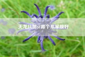 天龙八部SF哪个系军舰好