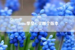 steam拳皇97买哪个版本