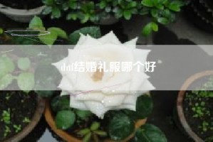 dnf结婚礼服哪个好
