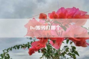 Dnf搬砖打哪个