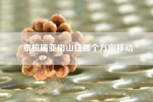泰拉瑞亚肉山往哪个方向移动