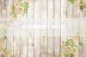 dnf忍者用哪个传说套