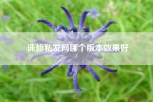 诛仙私发网哪个版本效果好