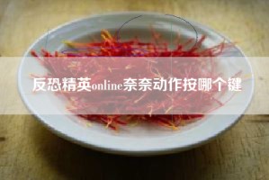 反恐精英online奈奈动作按哪个键