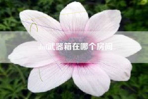 dnf武器箱在哪个房间