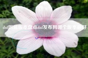 dnf历届版本盘点dnf发布网哪个版本最好