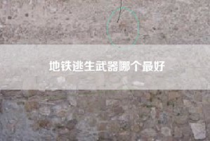 地铁逃生武器哪个最好