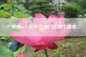 死神vs火影轻空水门在哪个版本