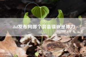 dnf发布网哪个装备镶嵌是体力