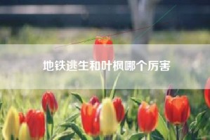 地铁逃生和叶枫哪个厉害