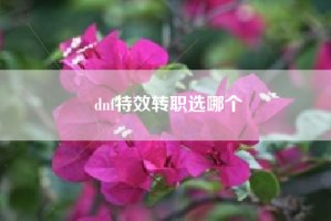 dnf特效转职选哪个