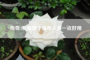 传奇3私服哪个版本人多一点好用