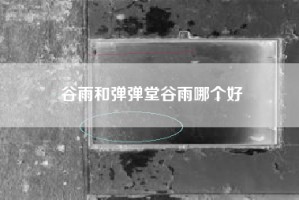 谷雨和弹弹堂谷雨哪个好