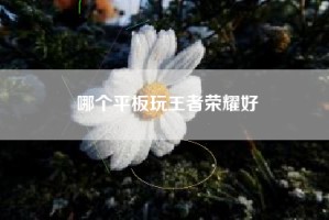 哪个平板玩王者荣耀好