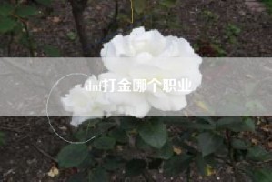 dnf打金哪个职业