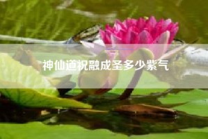神仙道祝融成圣多少紫气