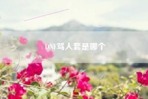 DNF骂人套是哪个