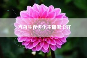 方舟生存进化主播哪个好