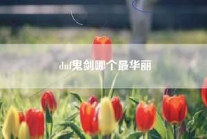 dnf鬼剑哪个最华丽