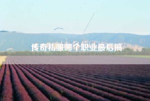 传奇私服哪个职业最后搞