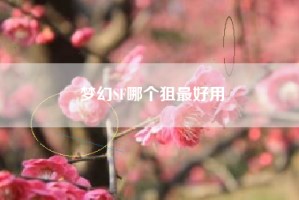 梦幻SF哪个狙最好用
